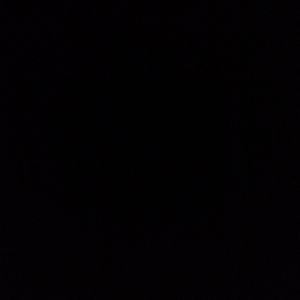 Meet your Posher, Quinn